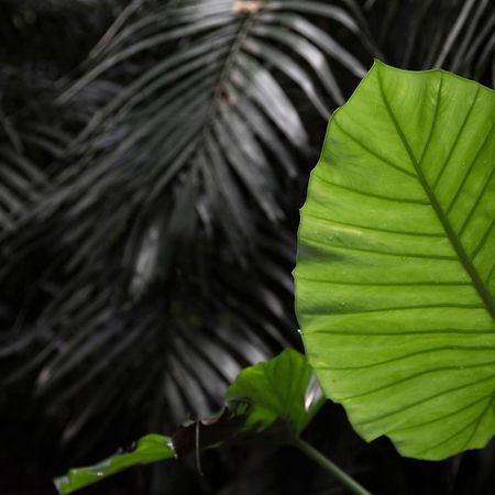 Ishigaki  주산디 빌라 외부 사진
